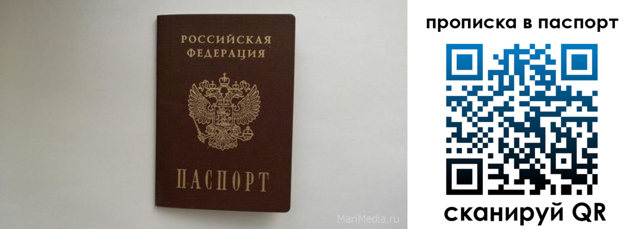регистрация для школы в Мончегорске